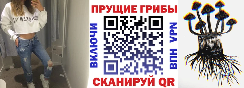 Купить  Шиханы  Псилоцибиновые грибы Magic Shrooms